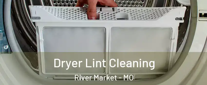 Dryer Lint Cleaning River Market - MO