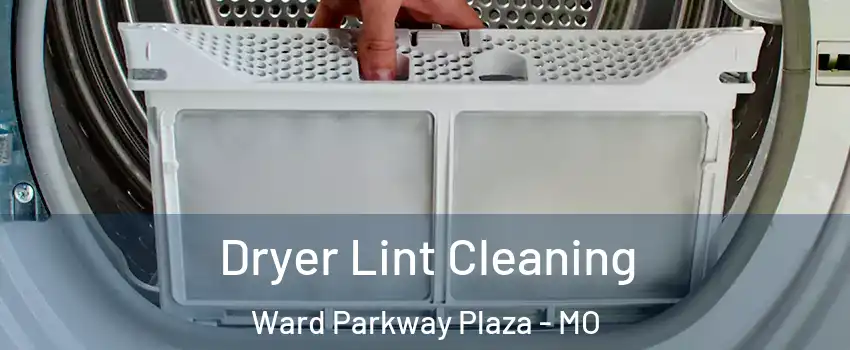 Dryer Lint Cleaning Ward Parkway Plaza - MO