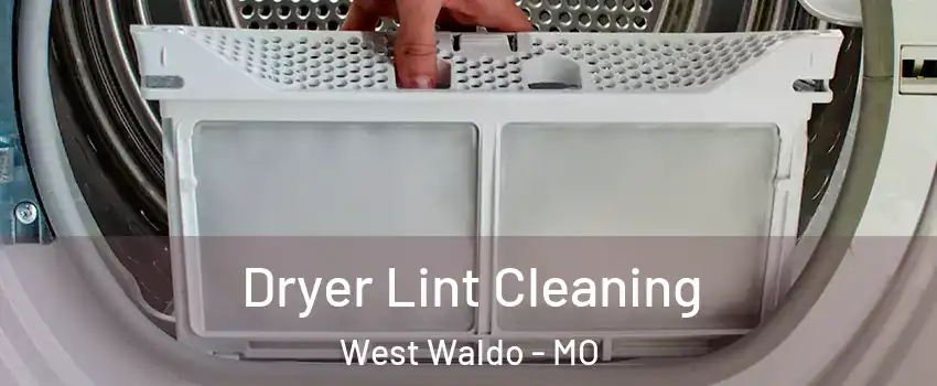 Dryer Lint Cleaning West Waldo - MO