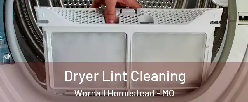 Dryer Lint Cleaning Wornall Homestead - MO