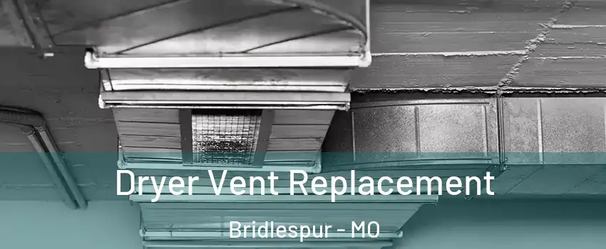 Dryer Vent Replacement Bridlespur - MO