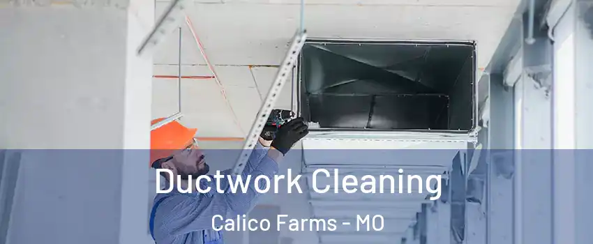 Ductwork Cleaning Calico Farms - MO