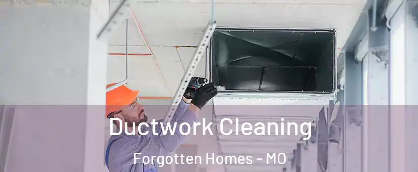 Ductwork Cleaning Forgotten Homes - MO