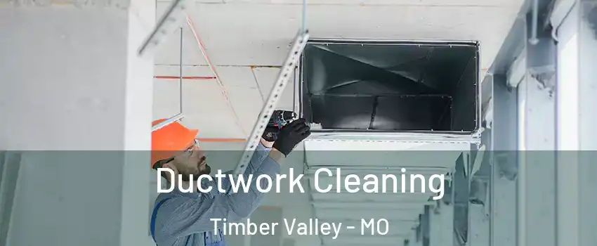 Ductwork Cleaning Timber Valley - MO