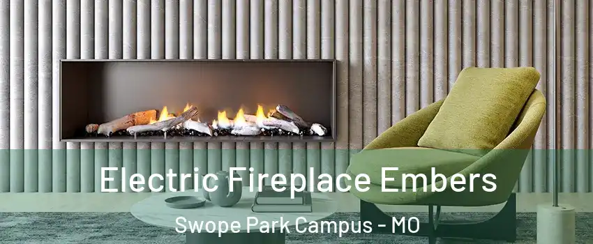 Electric Fireplace Embers Swope Park Campus - MO