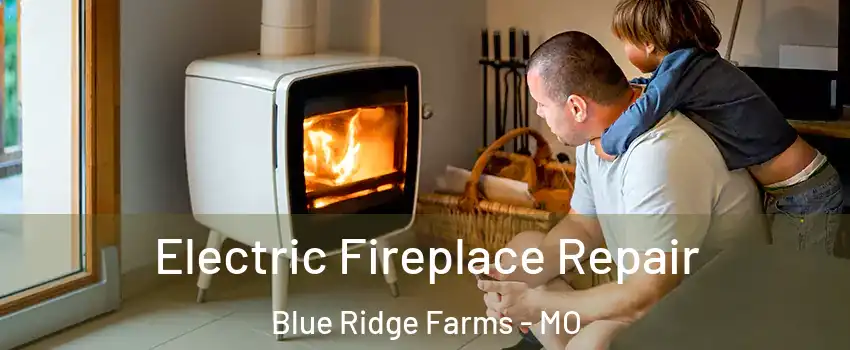 Electric Fireplace Repair Blue Ridge Farms - MO