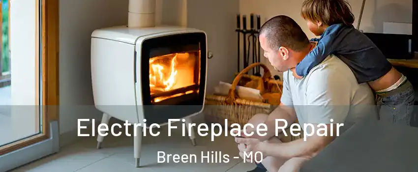 Electric Fireplace Repair Breen Hills - MO