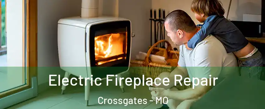 Electric Fireplace Repair Crossgates - MO