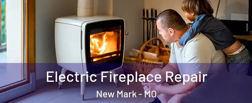 Electric Fireplace Repair New Mark - MO