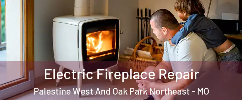 Electric Fireplace Repair Palestine West And Oak Park Northeast - MO