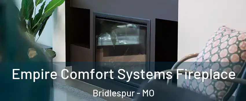 Empire Comfort Systems Fireplace Bridlespur - MO