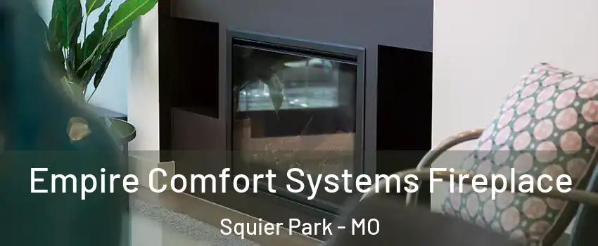 Empire Comfort Systems Fireplace Squier Park - MO