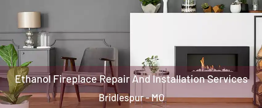 Ethanol Fireplace Repair And Installation Services Bridlespur - MO