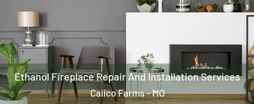 Ethanol Fireplace Repair And Installation Services Calico Farms - MO