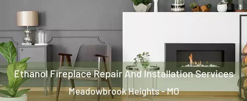 Ethanol Fireplace Repair And Installation Services Meadowbrook Heights - MO