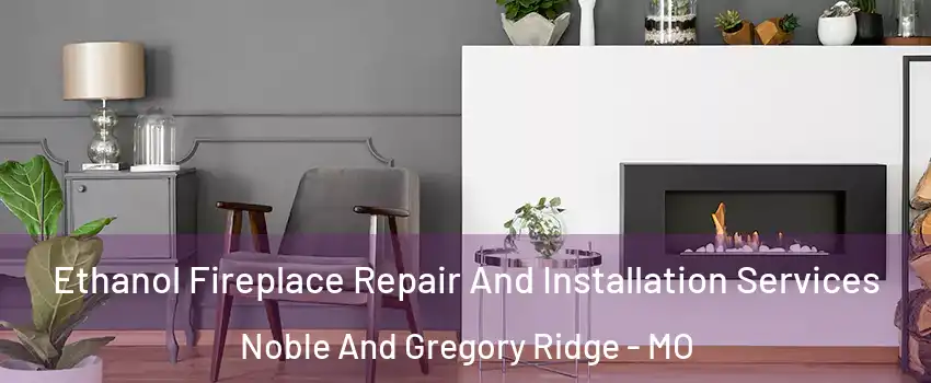 Ethanol Fireplace Repair And Installation Services Noble And Gregory Ridge - MO