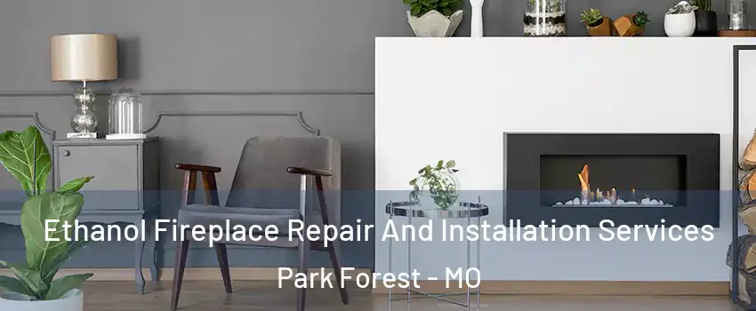 Ethanol Fireplace Repair And Installation Services Park Forest - MO