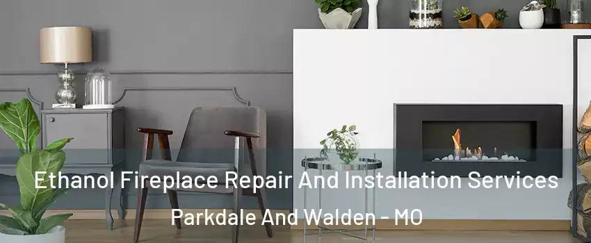 Ethanol Fireplace Repair And Installation Services Parkdale And Walden - MO