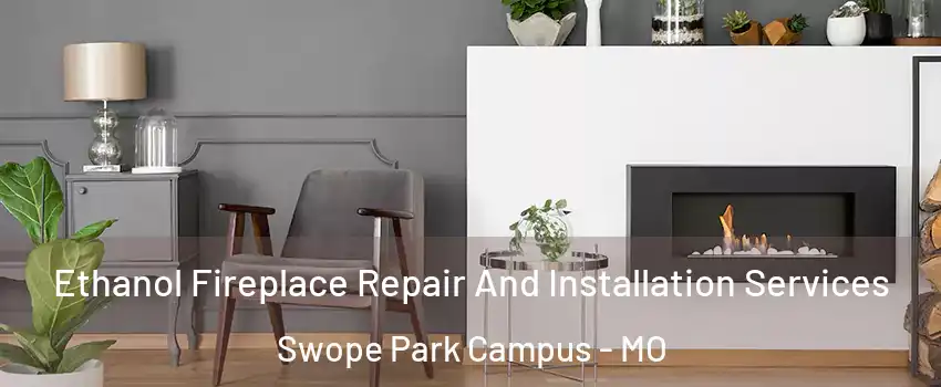 Ethanol Fireplace Repair And Installation Services Swope Park Campus - MO