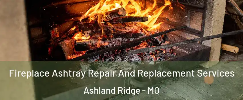 Fireplace Ashtray Repair And Replacement Services Ashland Ridge - MO