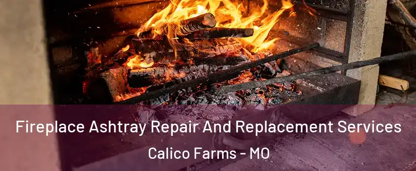 Fireplace Ashtray Repair And Replacement Services Calico Farms - MO