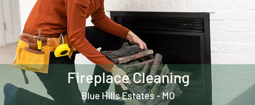 Fireplace Cleaning Blue Hills Estates - MO