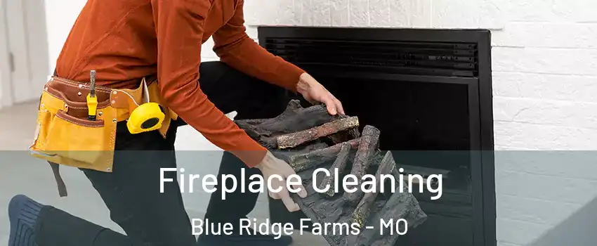 Fireplace Cleaning Blue Ridge Farms - MO