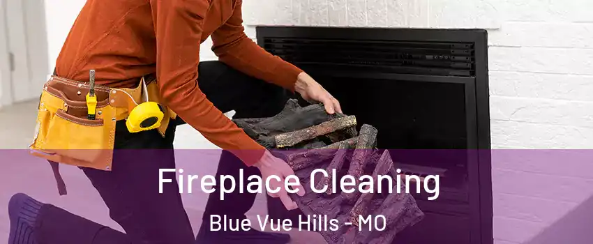 Fireplace Cleaning Blue Vue Hills - MO