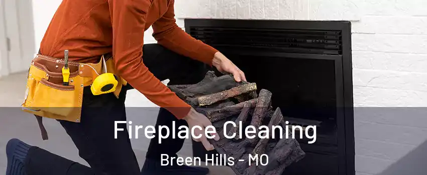 Fireplace Cleaning Breen Hills - MO