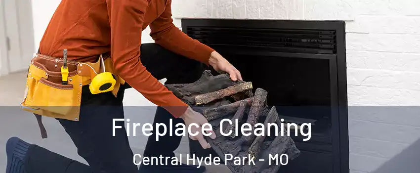 Fireplace Cleaning Central Hyde Park - MO