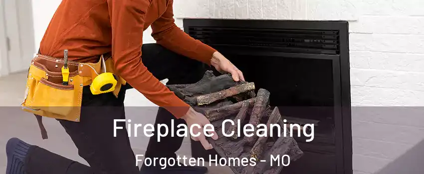 Fireplace Cleaning Forgotten Homes - MO