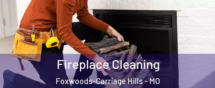 Fireplace Cleaning Foxwoods-Carriage Hills - MO