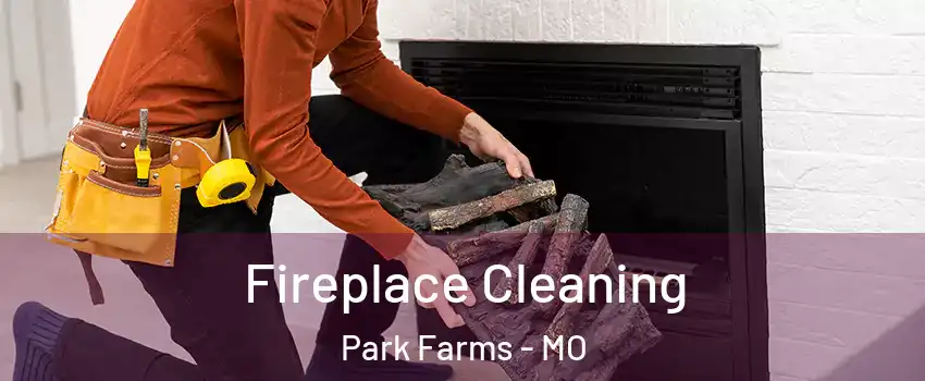 Fireplace Cleaning Park Farms - MO