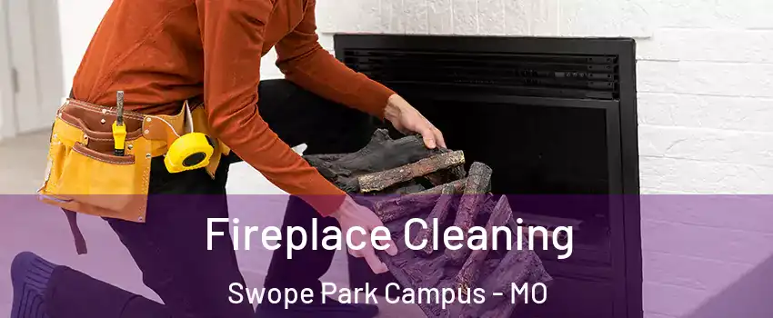 Fireplace Cleaning Swope Park Campus - MO