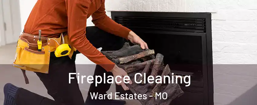 Fireplace Cleaning Ward Estates - MO