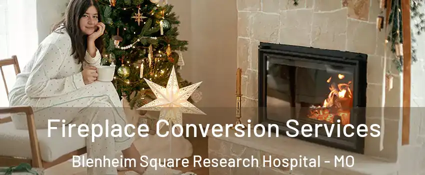 Fireplace Conversion Services Blenheim Square Research Hospital - MO