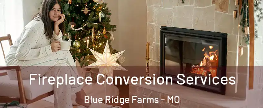 Fireplace Conversion Services Blue Ridge Farms - MO