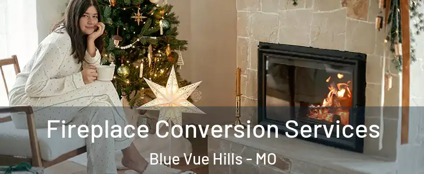 Fireplace Conversion Services Blue Vue Hills - MO