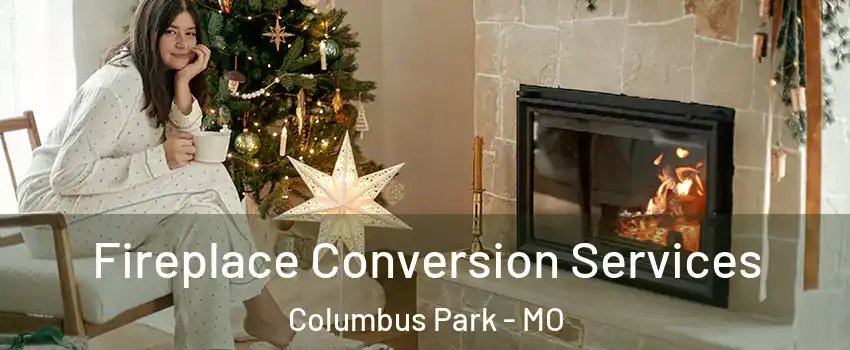 Fireplace Conversion Services Columbus Park - MO