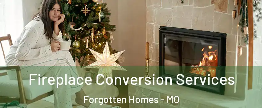 Fireplace Conversion Services Forgotten Homes - MO