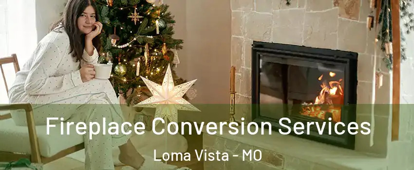 Fireplace Conversion Services Loma Vista - MO