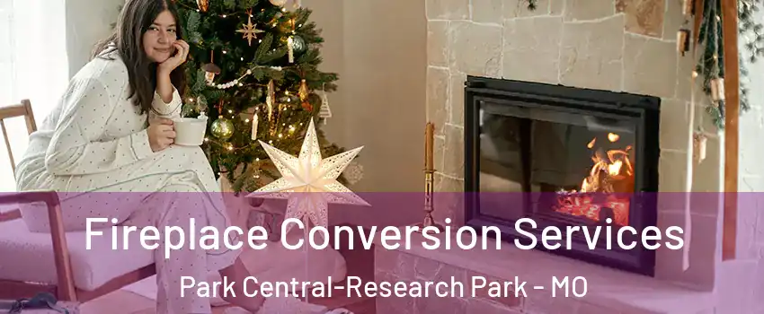 Fireplace Conversion Services Park Central-Research Park - MO