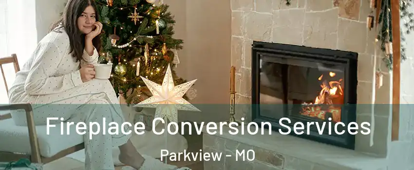 Fireplace Conversion Services Parkview - MO