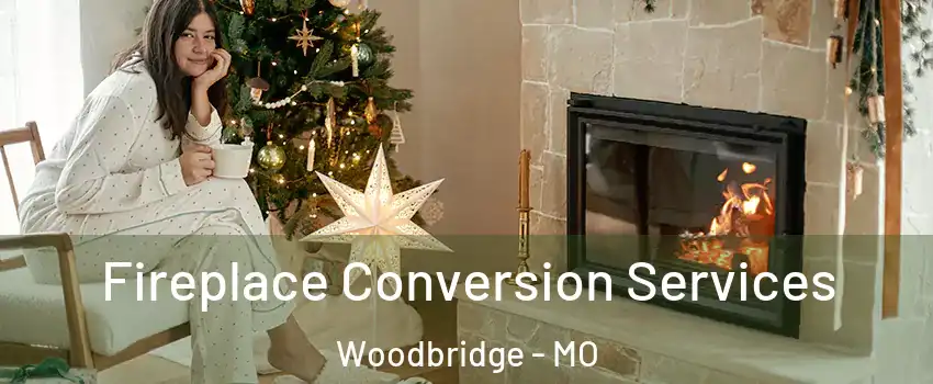 Fireplace Conversion Services Woodbridge - MO