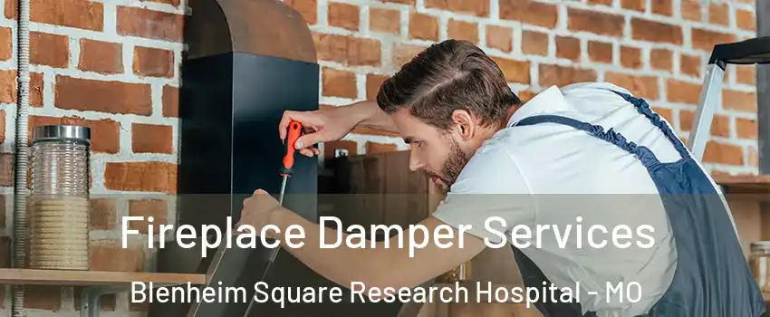 Fireplace Damper Services Blenheim Square Research Hospital - MO