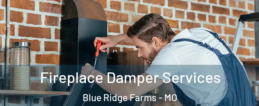 Fireplace Damper Services Blue Ridge Farms - MO