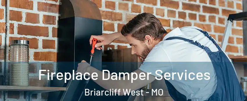 Fireplace Damper Services Briarcliff West - MO