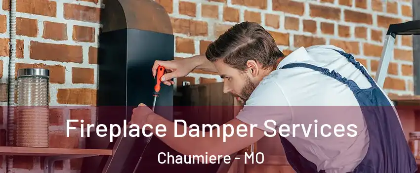 Fireplace Damper Services Chaumiere - MO