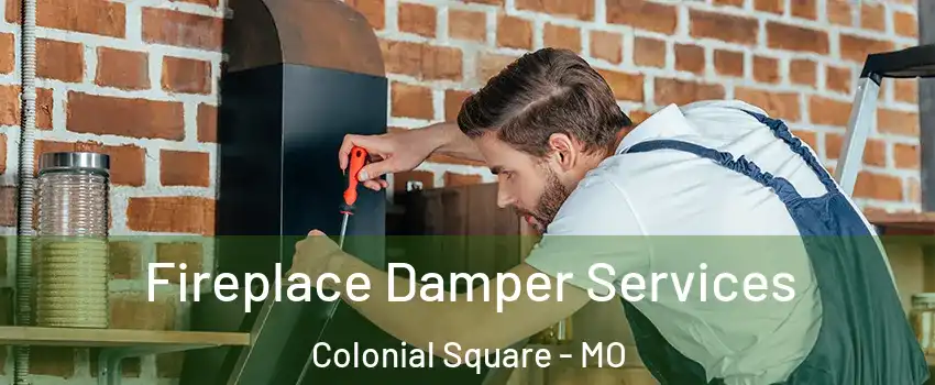 Fireplace Damper Services Colonial Square - MO