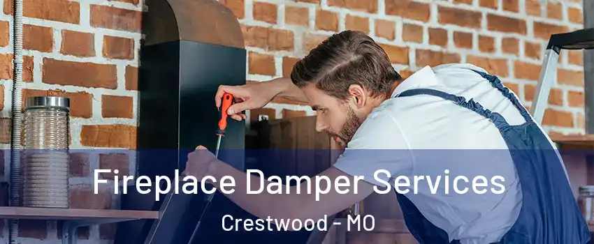 Fireplace Damper Services Crestwood - MO